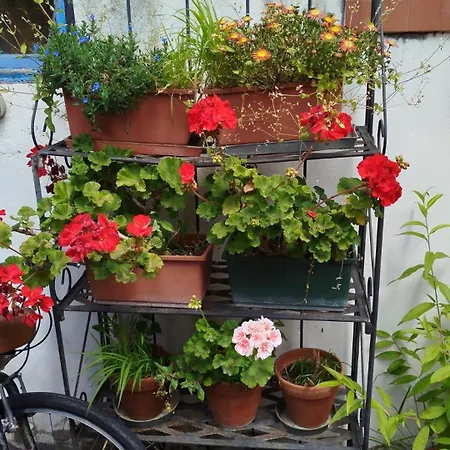 Barcola Holidays Casa Vacanze * Trieste