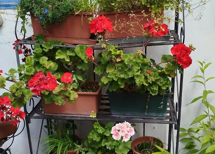 Barcola Holidays * Trieste